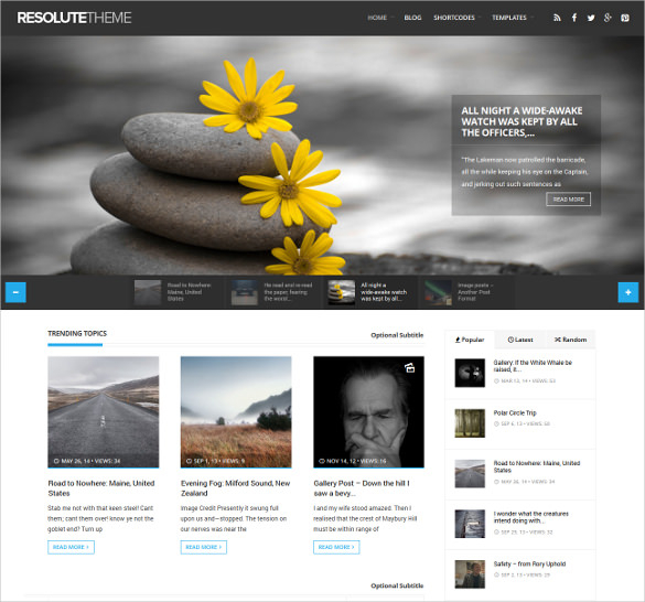 17 Journal Website Themes Templates