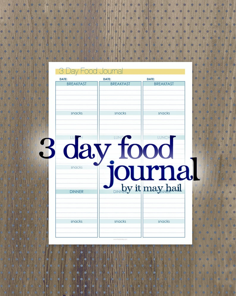 3 Day Food Journal And To Do Lists Instant Download PDF Printable 3 