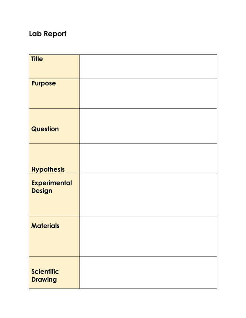 40 Lab Report Templates Format Examples TemplateLab