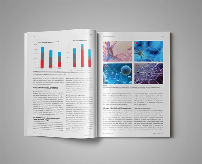 Academic Journal Template For InDesign StockInDesign