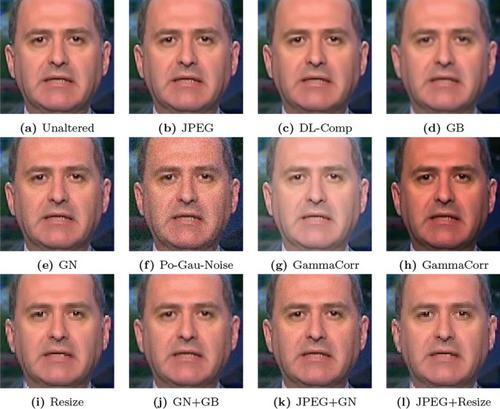Assessment Framework For Deepfake Detection In Real world Situations 