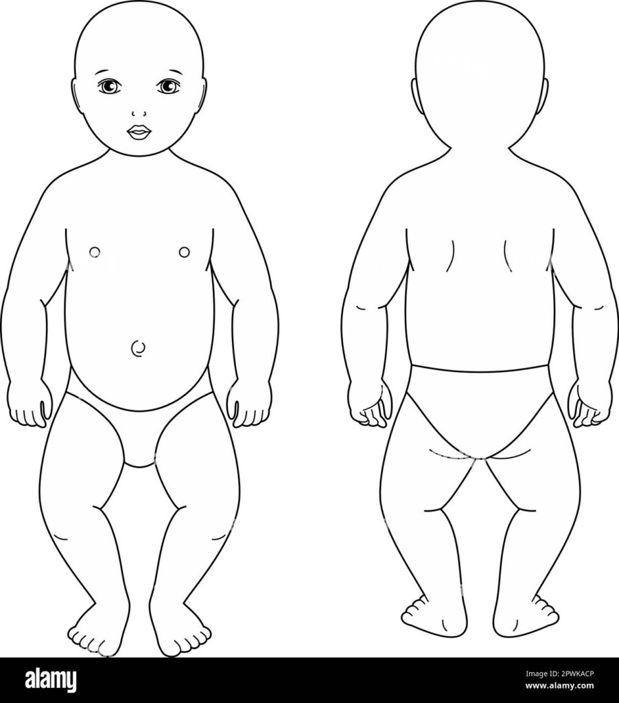 Figure Of A Baby Front And Back Stock Vector Image Art Alamy