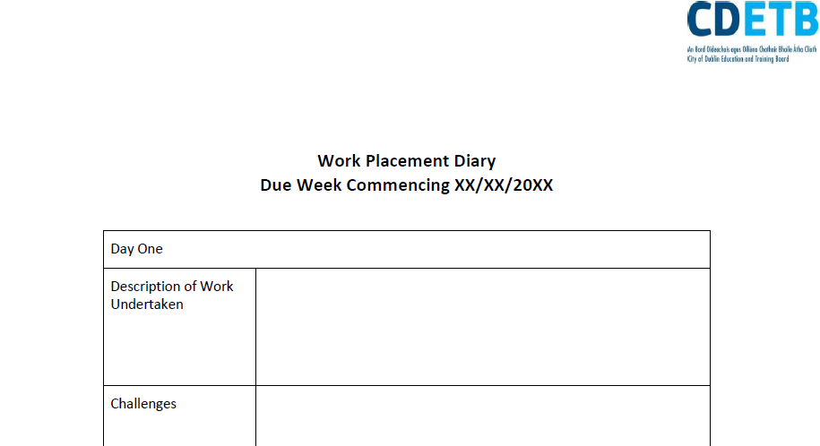 Work Placement Diary Template Skills4Work Project