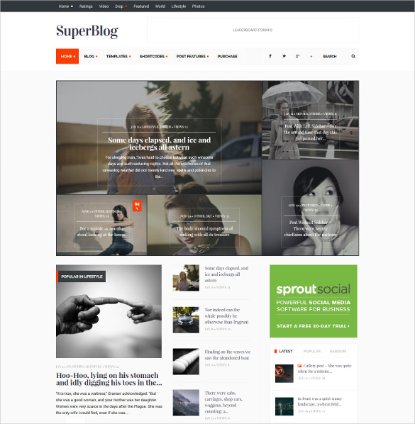 17 Journal Website Themes Templates
