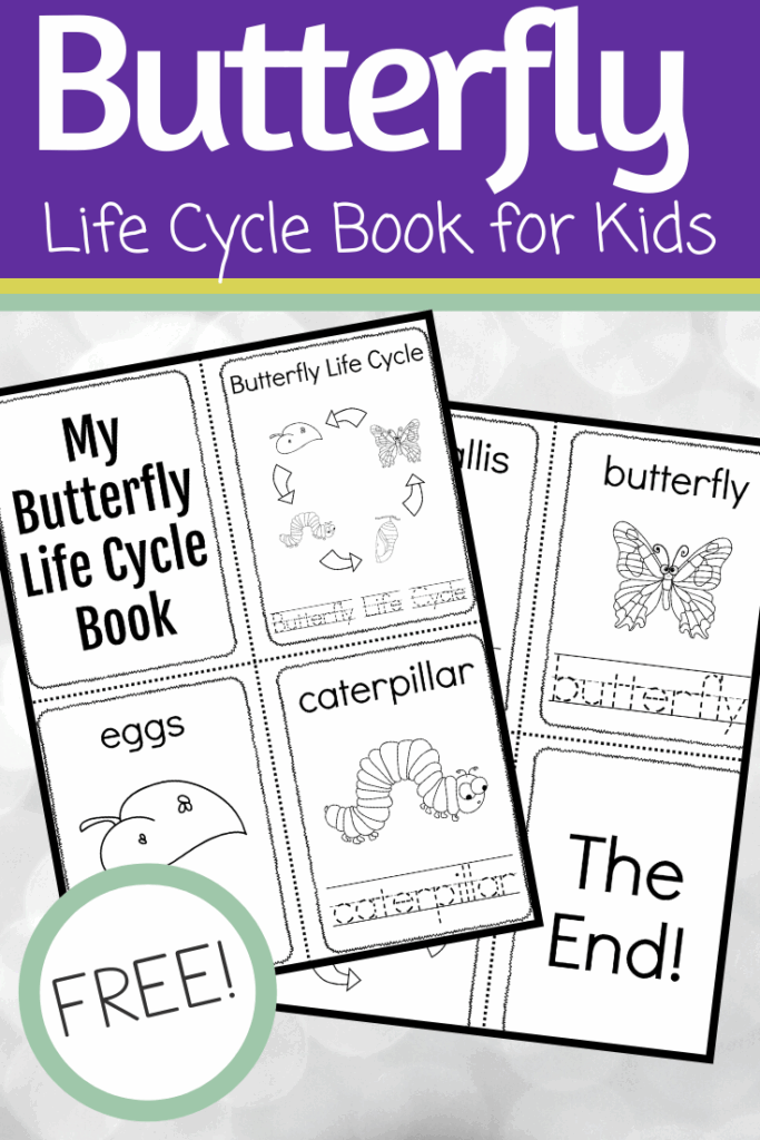 Butterfly Life Cycle Printable Template