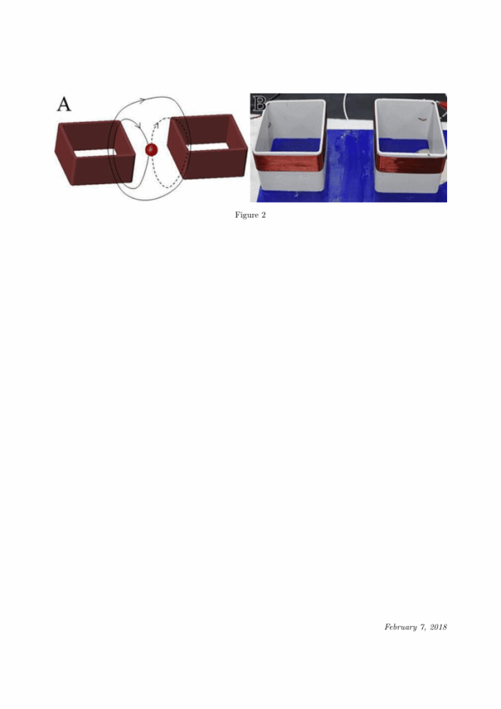 Computational And Structural Biotechnology Journal Template For Authors