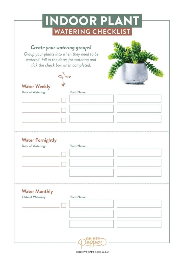 Creating A Houseplant Care Routine Plant Journal Template House 