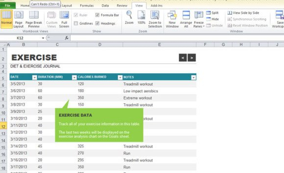 Diet And Exercise Journal Template For Excel 2013