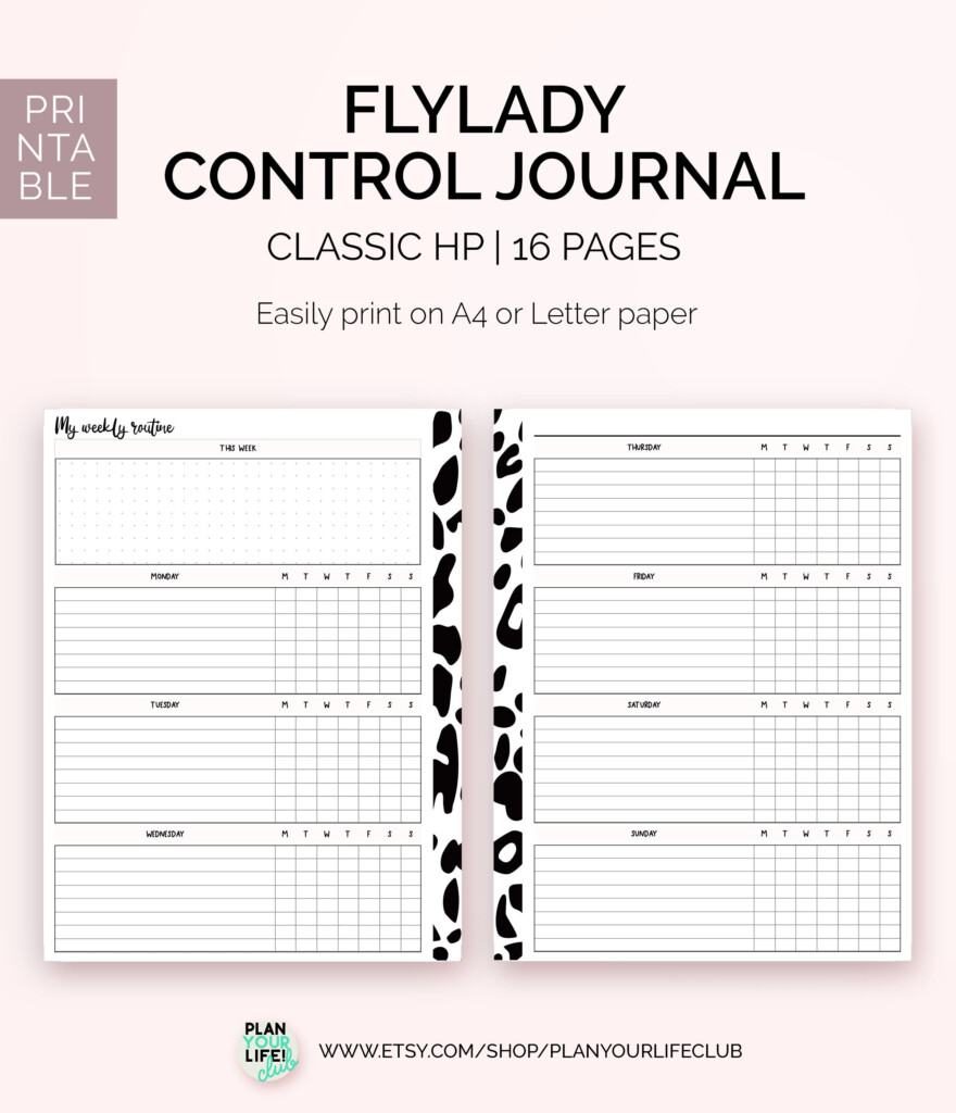 Flylady Control Journal Printable Happy Planner Size Etsy