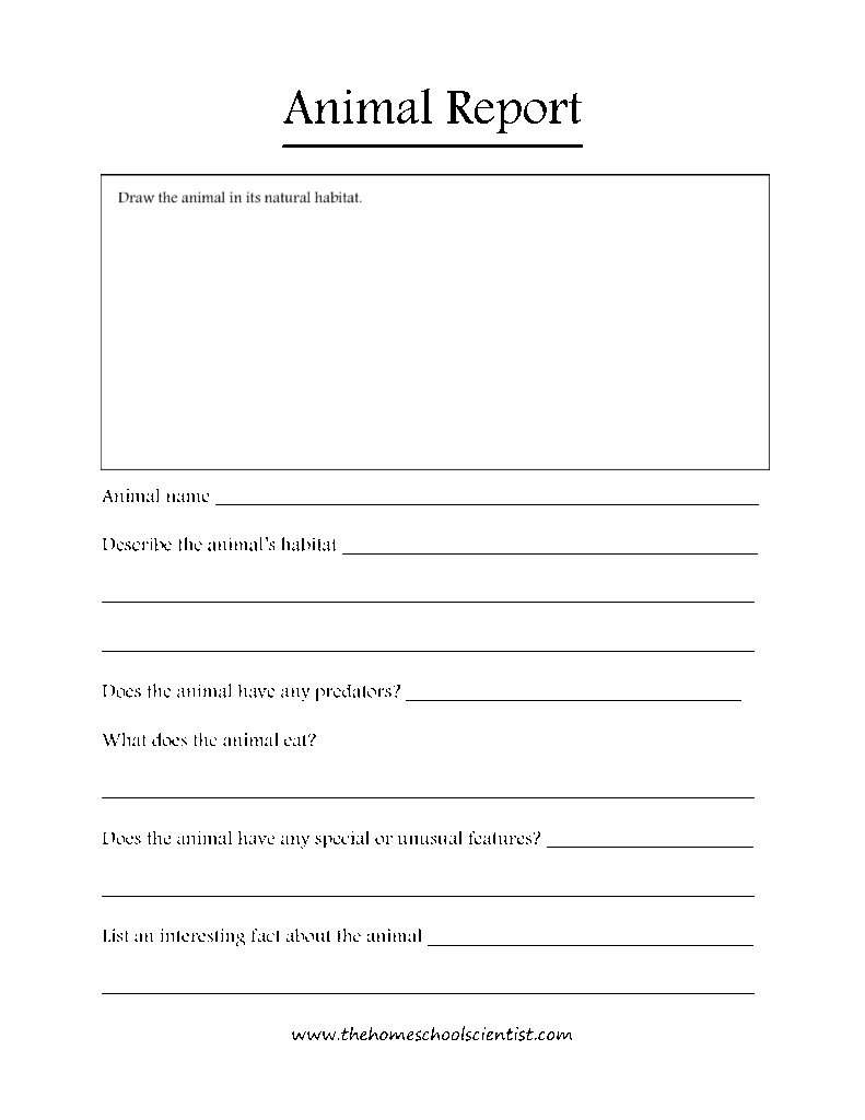 Free Animal Report Template