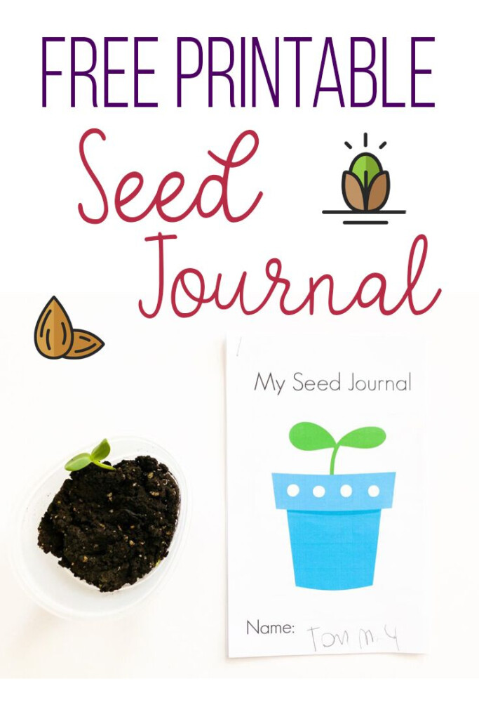 Free Printable Seed Journal For Kids