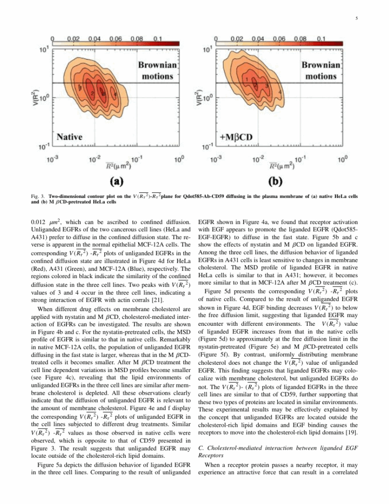 Latex Ieee Template