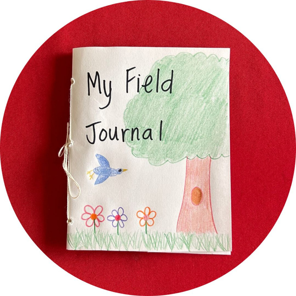 Make A Field Journal KidsGardening