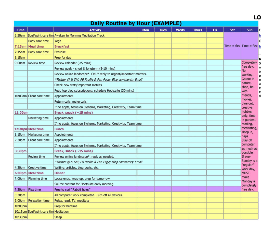 Microsoft Excel Hourly Schedule Template Pbress