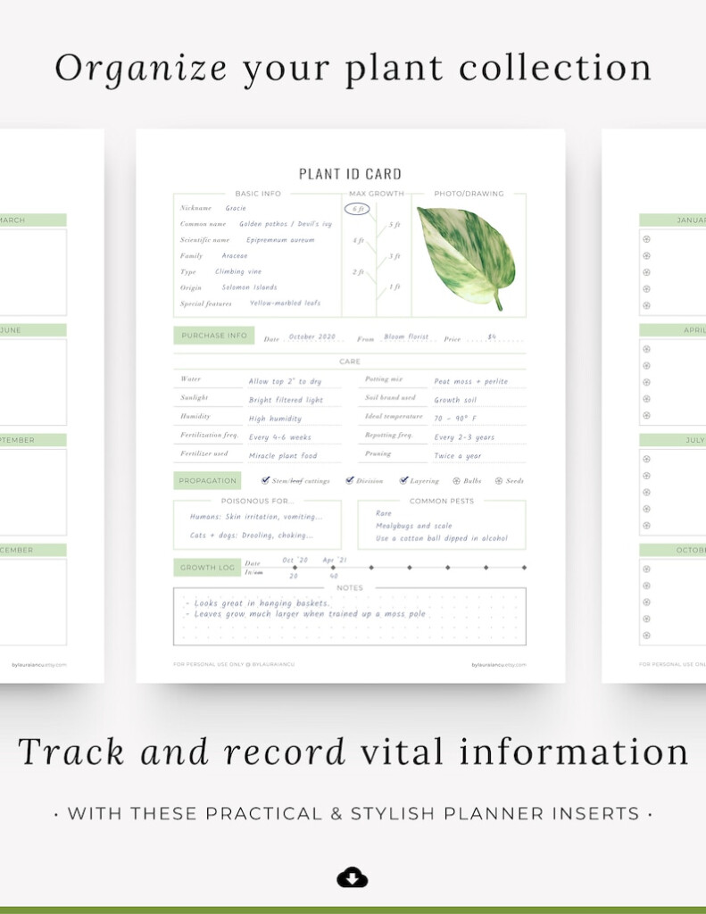 Printable Plant Care Template